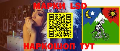 стаф Краснодар