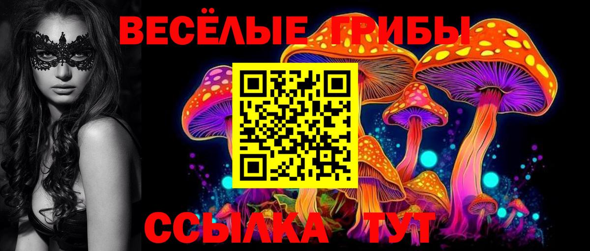 Псилоцибиновые грибы MAGIC MUSHROOMS Дедовск