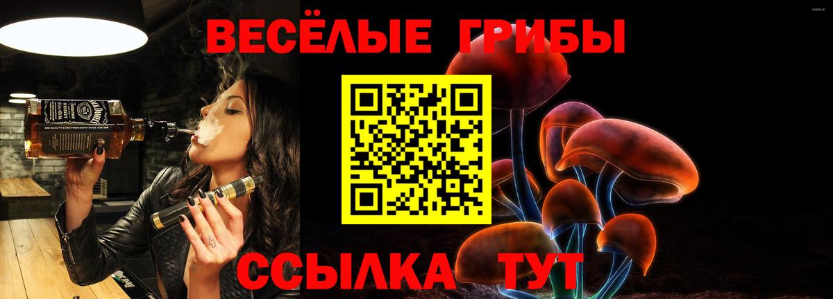 Галлюциногенные грибы Psilocybe  Вход с VPN  Дедовск  где купить наркотик  Псилоцибиновые грибы мицелий 